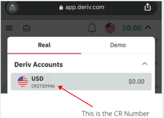 Looking for a CR Number on Deriv account 